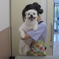 ひめちゃん