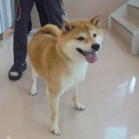 まるくん