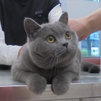 つむぎくん