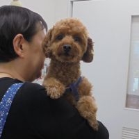 山くん