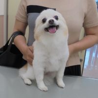 あまねちゃん