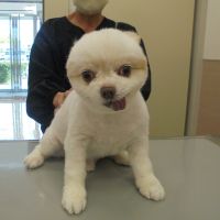 ツナくん