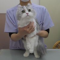 ANGEちゃん