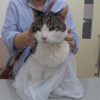 大くん