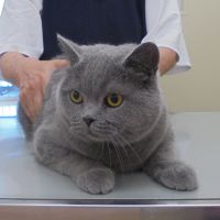 つむぎくん