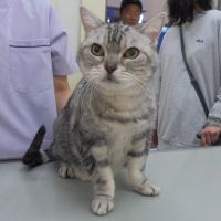 こうめちゃん