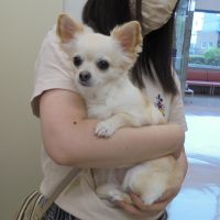 ニコちゃん