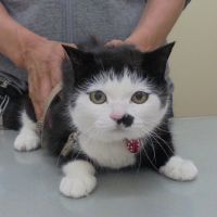 キィーちゃん