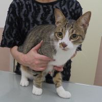 ジイくん