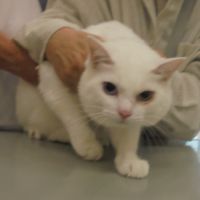 コタローくん