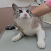 ゆうくん