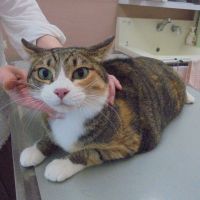 ツーちゃん