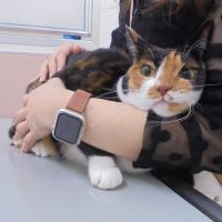 むぎちゃん
