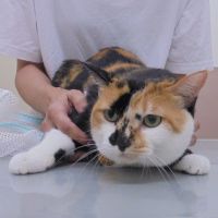 ゆずちゃん