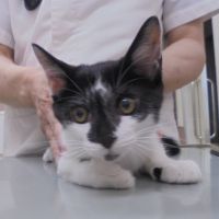 永吉くん