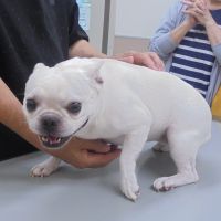 柚ちゃん