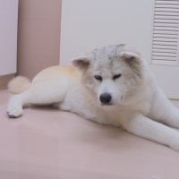 ひめちゃん