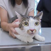 マリンちゃん
