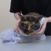 ほたるちゃん